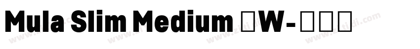 Mula Slim Medium 中W字体转换